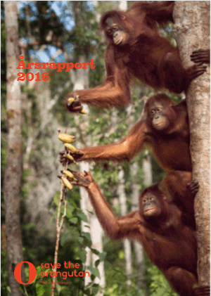 //savetheorangutan.se/app/uploads/sites/3/2018/06/Udklipqqqqqqqqqqqqqq-1.png