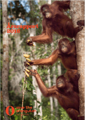 //savetheorangutan.se/app/uploads/sites/3/2020/01/Årsrapport2016.png