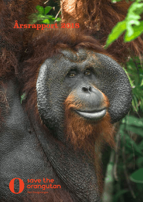 //savetheorangutan.se/app/uploads/sites/3/2020/01/Årsrapport2018.png